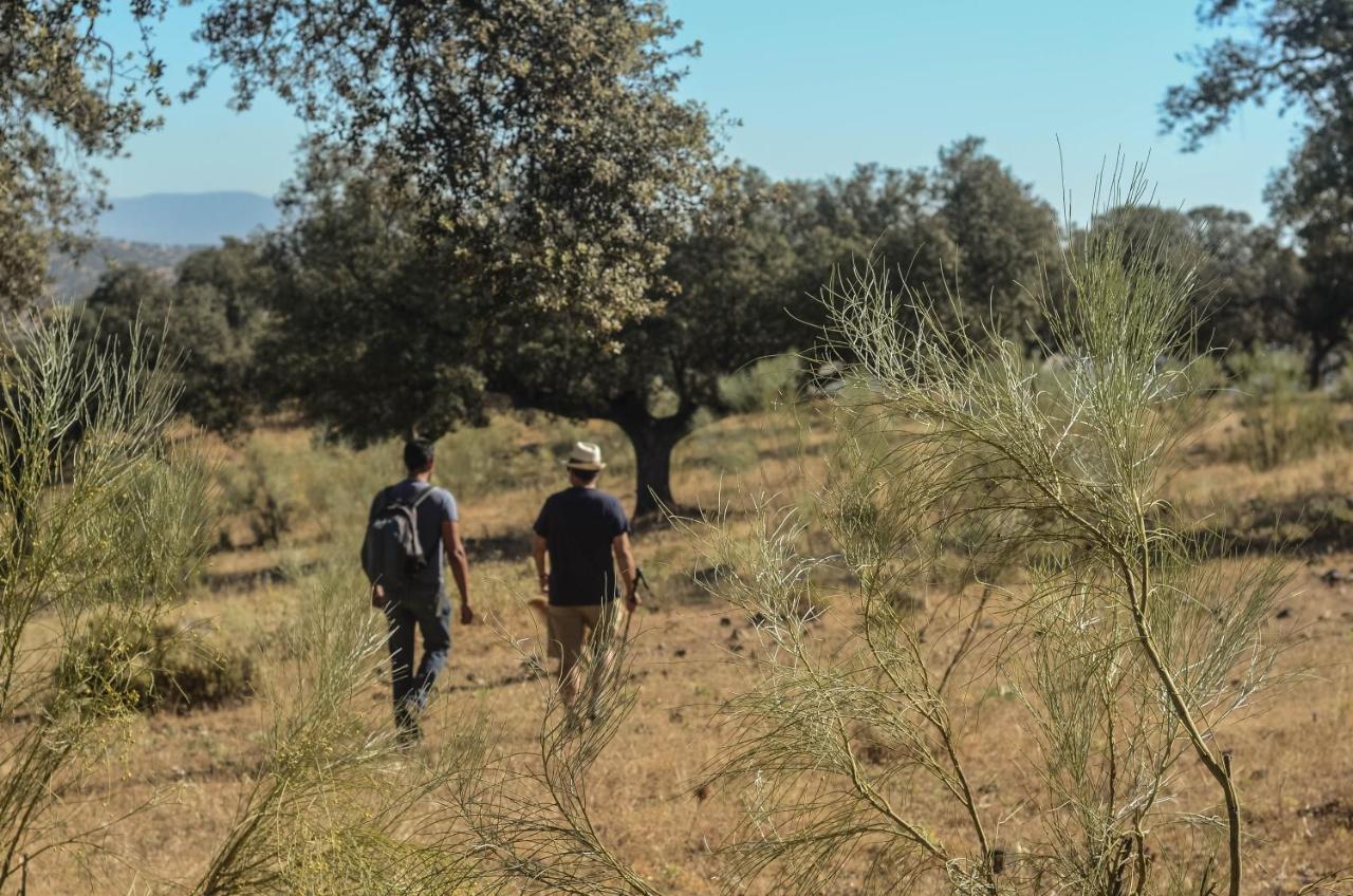La Dehesa De Don Pedro Otel Monesterio Dış mekan fotoğraf
