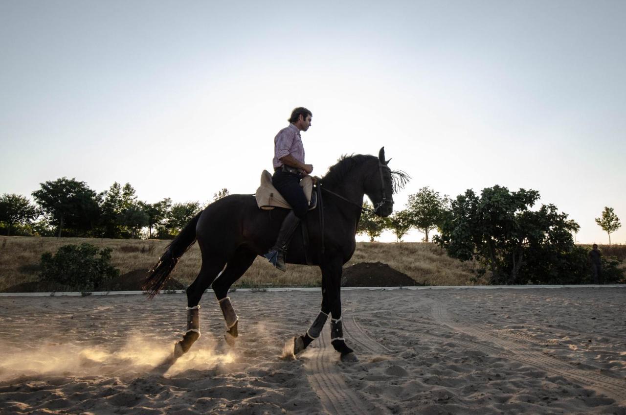 La Dehesa De Don Pedro Otel Monesterio Dış mekan fotoğraf